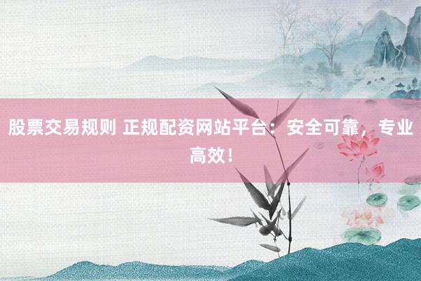 股票交易规则 正规配资网站平台：安全可靠，专业高效！