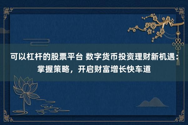 可以杠杆的股票平台 数字货币投资理财新机遇：掌握策略，开启财富增长快车道