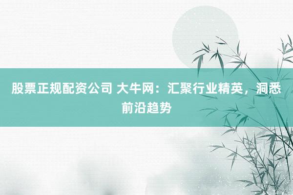股票正规配资公司 大牛网：汇聚行业精英，洞悉前沿趋势
