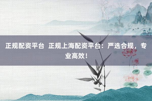 正规配资平台  正规上海配资平台：严选合规，专业高效！