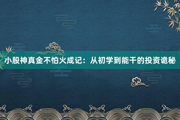 小股神真金不怕火成记：从初学到能干的投资诡秘