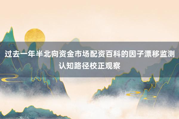 过去一年半北向资金市场配资百科的因子漂移监测认知路径校正观察