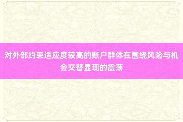 对外部约束适应度较高的账户群体在围绕风险与机会交替显现的震荡