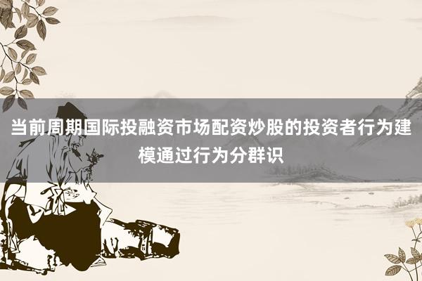 当前周期国际投融资市场配资炒股的投资者行为建模通过行为分群识
