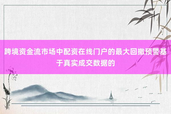 跨境资金流市场中配资在线门户的最大回撤预警基于真实成交数据的