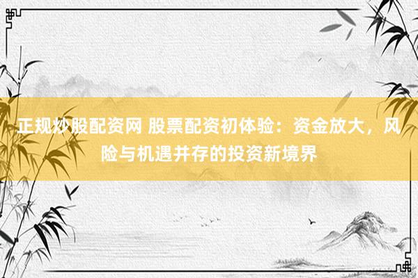 正规炒股配资网 股票配资初体验：资金放大，风险与机遇并存的投资新境界